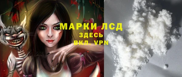 стаф Бородино
