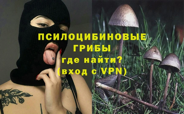 твердый Бронницы