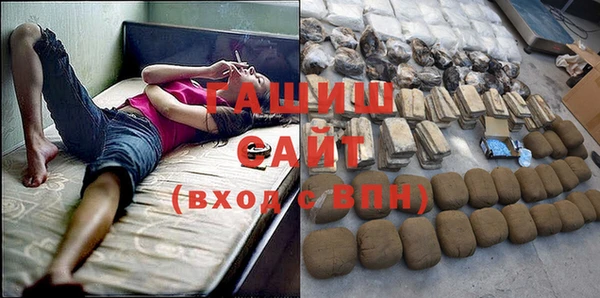 индика Володарск