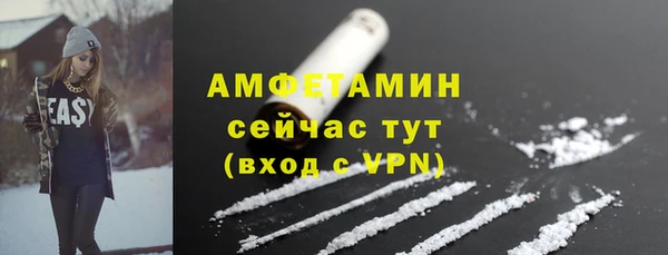 индика Володарск