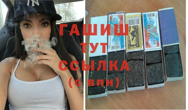 индика Володарск