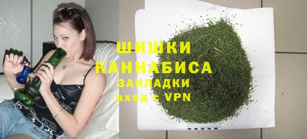 стаф Бородино