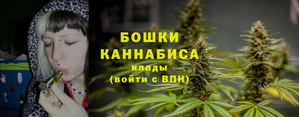 индика Володарск